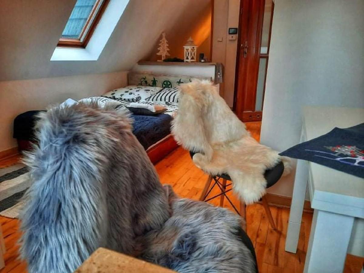 Willa Czajka - Widokowe Apartamenty Zakopane Luaran gambar